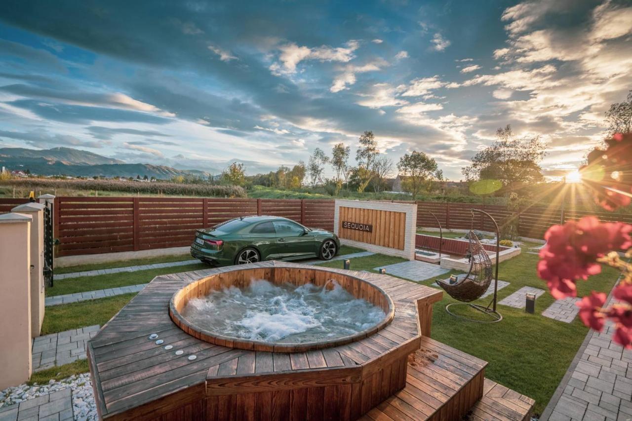 Roots Villa Sequoia Брашов Экстерьер фото