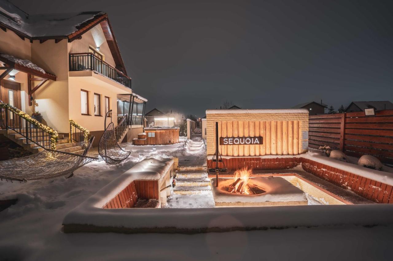 Roots Villa Sequoia Брашов Экстерьер фото